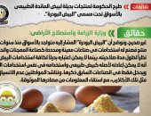 أخبار مصر.. الحكومة تنفى طرح "بيض بودرة" بديلا لبيض المائدة الطبيعى بالأسواق