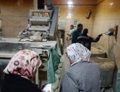 غلق 55 منشأة وضبط 1235 حالة إشغال فى حملات موسعة بالإسكندرية