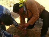 "الزراعة": 70 ألف شجرة مخصصة لمحافظة بورسعيد ضمن مبادرة 100 مليون شجرة