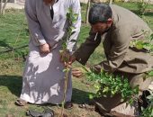 المبادرة الرئاسية "100 مليون شجرة" تواصل أعمالها بالوحدات المحلية في المنوفية