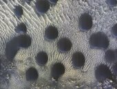 رصد كثبان "دائرية" غريبة على المريخ فى صور لمركبة ناسا