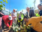 تدشين مبادرة 100 مليون شجرة وزراعة 20 ألفًا بمراكز شباب كفر الشيخ