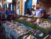 استقرار أسعار الأسماك فى مصر عند 59 جنيها للكيلو