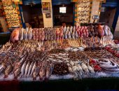 تعرف على أسعار الأسماك فى مصر اليوم البلطى يسجل 59 جنيها للكيلو