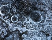 فيروس "زومبى" مجمد فى الجليد تم إحياؤه بعد نحو 50 ألف عام وما زال معديا