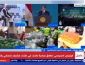 حزب الأحرار لـ"إكسترا نيوز": مصر تبعث رسالة طمأنينة من خلال مبادرة "كتف فى كتف"