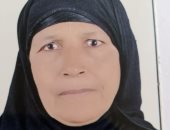 محافظ أسوان يهنئ الأم المثالية بعد رحلة عطاء وتضحية وتحديات