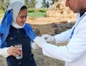 صحة دمياط: انتهاء حملة التجريع ضد البلهارسيا بالمناطق الأكثر انتشارًا