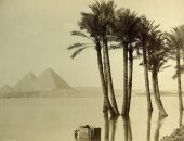مؤرخون: النقوش والنصوص بمنطقة الأهرامات كشفت طبيعة الحياة في مصر القديمة