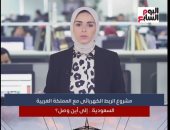 مشروع الربط الكهربائى بين مصر والسعودية.. أين وصل؟.. فيديو