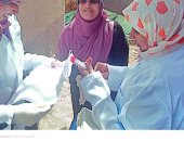 جولات على المجازر بكفر الشيخ للتأكد من سلامة اللحوم.. وعمليات تقصي نشط