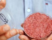 صحيفة: إيطاليا أول دولة أوروبية تحظر إنتاج وبيع اللحوم "المستنبتة"