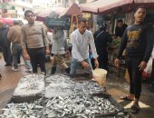 إقبال على شراء السردين والبساريا البلدى فى رمضان بسوق الإسكندرية.. فيديو وصور