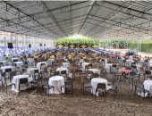 استعدادات الهيئة القبطية الإنجيلية لمائدة إفطار مع مزارعي مبادرة ازرع بالمنيا