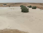 سقوط أمطار غزيرة وثلوج على مناطق متفرقة بشمال سيناء
