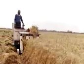 محافظ بورسعيد: بدء موسم حصاد محصول القمح وتقديم كافة التيسيرات للمزارعين