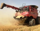 "تموين أسوان": 191 ألف طن مستهدف توريدهم من القمح هذا الموسم