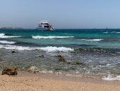 عاصفة ترابية ونشاط للرياح فى محافظة البحر الأحمر 