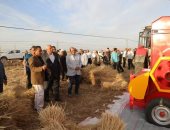 محافظ الوادي الجديد يشهد حصاد القمح بمركز باريس تزامنًا مع بدء موسم الحصاد.. صور