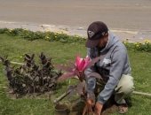 محافظ الإسكندرية: زراعة 92172 شجرة منذ بداية تنفيذ المبادرة بالأحياء