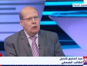 عبد الحليم قنديل: مصر استعادت دورها الدولى فى السياسة الخارجية بعد 30 يونيو