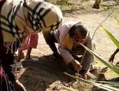 محافظ أسوان: الاستمرار فى زراعة الأشجار وأعمال النظافة العامة ورفع التراكمات