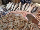 غرفة بورسعيد التجارية: أسعار الأسماك انخفضت من 50 إلى 70% بعد المقاطعة
