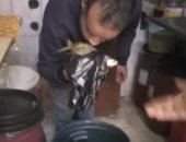 ضبط كمية من فسيخ غير صالحة للاستهلاك الآدمى فى حملات بمدينة أرمنت.. صور