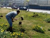 محافظ الإسكندرية: زراعة 97456 شجرة منذ بدء تنفيذ المبادرة بنطاق الأحياء