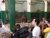 مصر تشارك فى مؤتمر الاتحاد الأفريقي لحدائق الحيوان بجنوب أفريقيا 