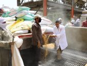 محافظ سوهاج يعلن بدء موسم توريد الأقماح وتوريد 100 طن