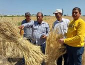 زراعة دمياط تتابع استعدادات الشون لاستقبال الأقماح المحلية من المزارعين