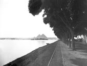 محافظة الجيزة تنشر صورة لمياه النيل تعانق الأهرامات سنة 1902