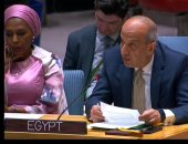 مندوب مصر الدائم بالأمم المتحدة: نتضامن بشكل كامل مع شعب السودان.. فيديو