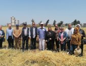 "زراعة الإسكندرية" تبدأ فى حصاد القمح بمزرعة الكلية بأبيس