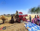 أخبار × 24 ساعة.. الزراعة: تطبيق الدورة الزراعية على محصول القمح الموسم المقبل