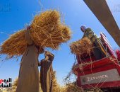 واردات مصر من القمح تتراجع إلى 305 ملايين دولار فى يونيو الماضى