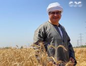 جابر القرموطى يقدم حلقة خاصة عن حصاد القمح من الشرقية فى "مانشيت"