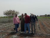 لجنة من قيادات الزراعة بالإسماعيلية تتابع زراعات القطن بالقنطرة شرق
