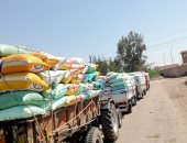 بدء توريد القمح بالصوامع بمركز ومدينة دسوق