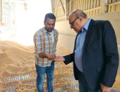 "التموين والزراعة" بالإسكندرية يتابعان بدء موسم توريد القمح المحلى