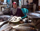 تعرف على أسعار الأسماك فى مصر اليوم .. البلطى بـ68 جنيها للكيلو