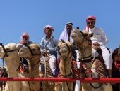 "الأمان" يحيط سباق الهجن بشمال سيناء.. المنافسة تجذب آلاف المتابعين.. 1280جملا من المحافظات تنافست على أول الأشواط.. الغرف الفندقية والشاليهات كاملة العدد.. ورواج اقتصادي وإقبال على شراء المنتجات المحلية