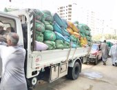 توريد 23 ألف طن من محصول القمح بالشون والصوامع الحكومية بمراكز المنيا