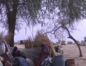 الحكومة الصومالية تجلي 123 من مواطنيها العالقين في السودان