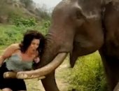 فيل بغابة هندية يهاجم امرأة بعنف بعد أن استفزته.. فيديو