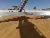 محافظ سوهاج: توريد 3748 طنا و213 كيلو جرام قمح منذ بدء الموسم دون معوقات