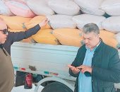 ارتفاع معدلات توريد القمح إلى أكثر من 3060 طنا في بورسعيد