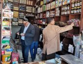 محافظ كفر الشيخ: تحرير 79 محضراً متنوعة لأصحاب المحال التجارية والمخابز