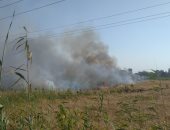 الحماية المدنية تسيطر على حريق في زراعات قمح بكفر الشيخ